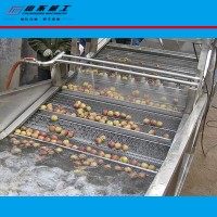 CG-蓝莓果蔬清洗设备大型不锈钢多功能果蔬气泡清洗机