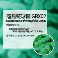 嗜热链球菌GRX02